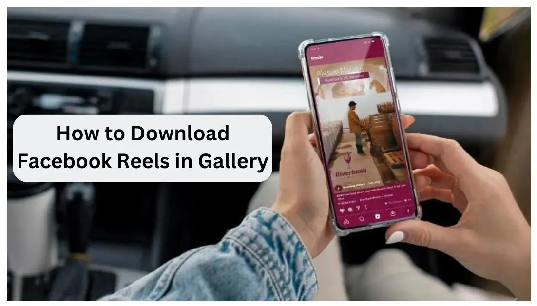 How to Download Facebook Reels in Gallery Silnels